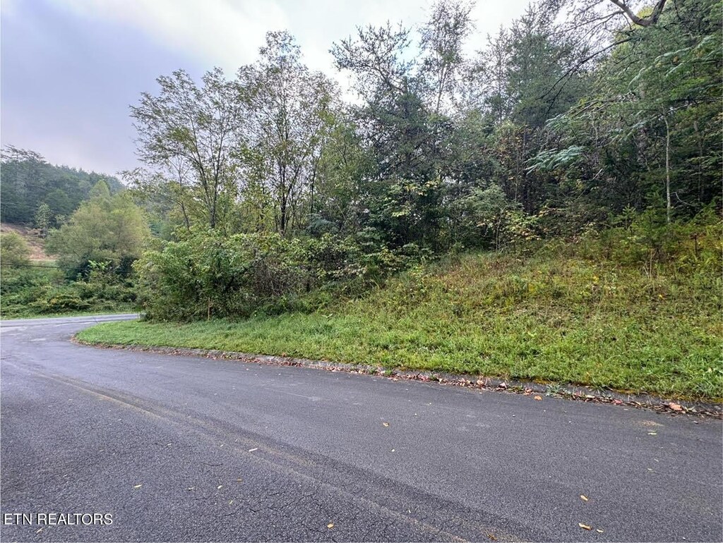 Pheasant Ct, Sevierville, TN 37876 - photo 1