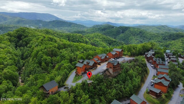 1443 Eagle Cloud Way, Sevierville, TN 37862