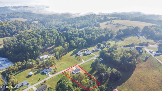 aerial view with a rural view