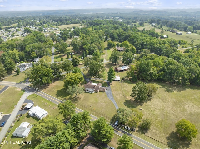 aerial view