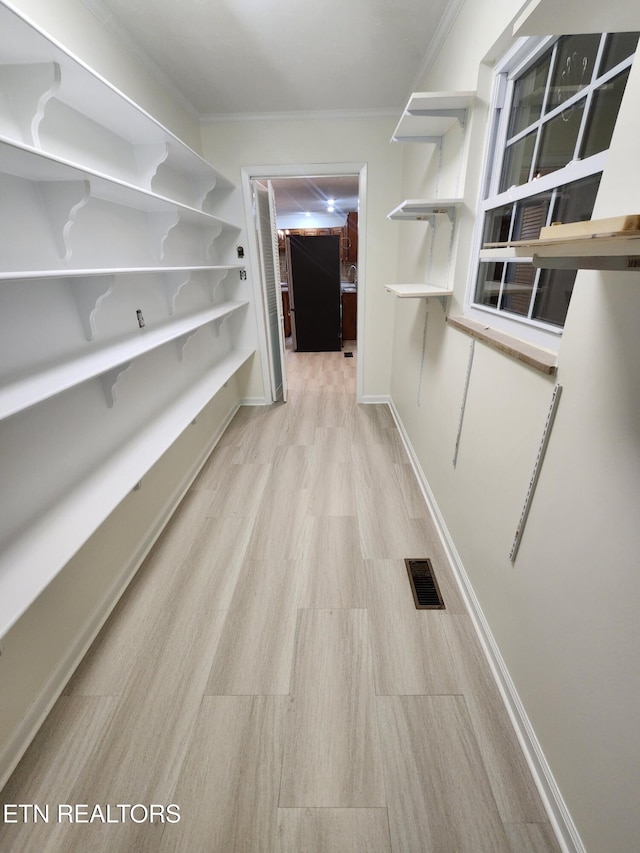 spacious closet with light hardwood / wood-style floors