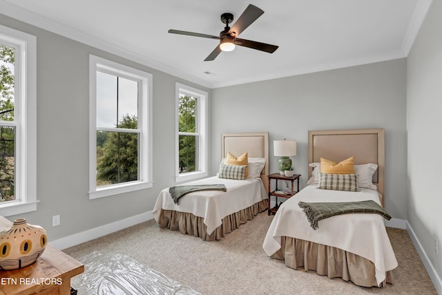 Thunderhead Rd, Knoxville, TN 37922 - photo 20