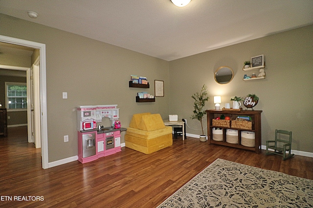 living area with dark wood-type flooring