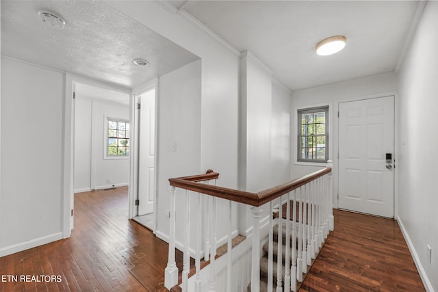 corridor featuring ornamental molding, a textured ceiling, a healthy amount of sunlight, and dark hardwood / wood-style flooring