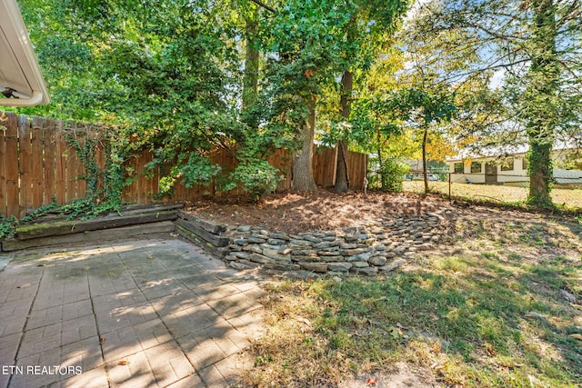 view of yard with a patio