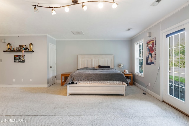 carpeted bedroom featuring access to outside and crown molding