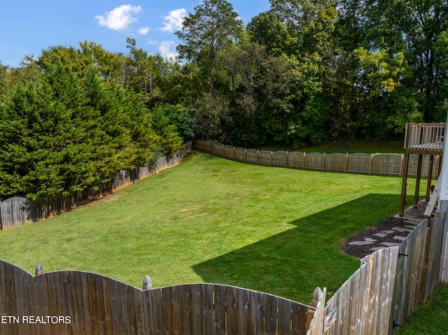 view of yard