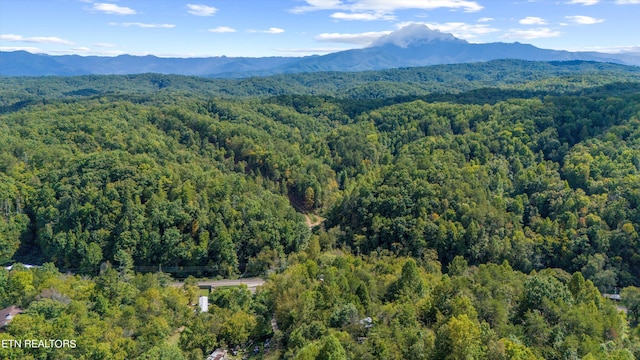 1876 Upper Middle Creek Rd, Sevierville TN, 37876 land for sale