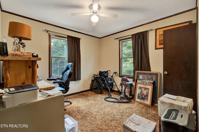 office with a textured ceiling, carpet flooring, and a wealth of natural light