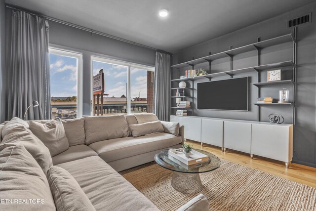 living room featuring wood-type flooring