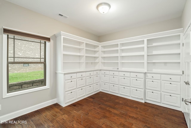 spacious closet featuring dark wood-type flooring