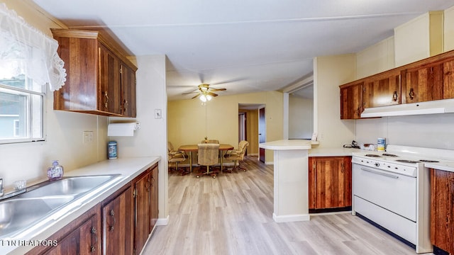 kitchen featuring white stove, light wood-type flooring, lofted ceiling, ceiling fan, and sink