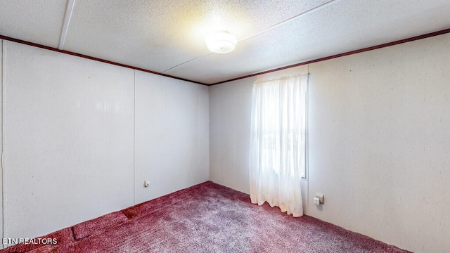 spare room with a textured ceiling, carpet flooring, and ornamental molding