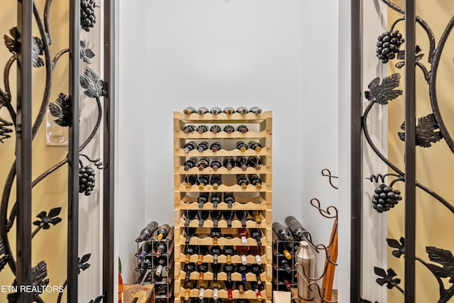 223 Osprey Cir, Vonore, TN 37885 - view of wine cellar