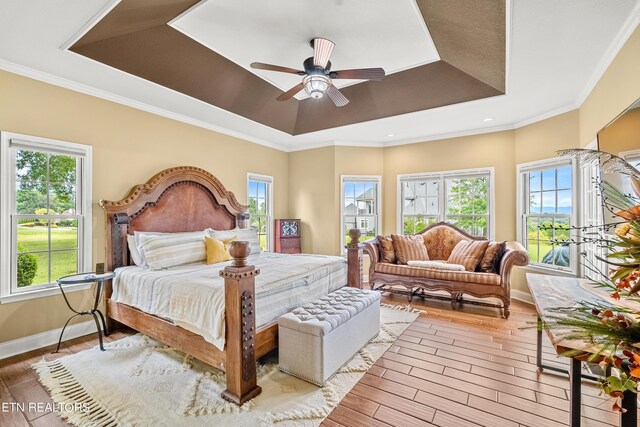 bedroom with multiple windows, a raised ceiling, wood-type flooring, and ceiling fan