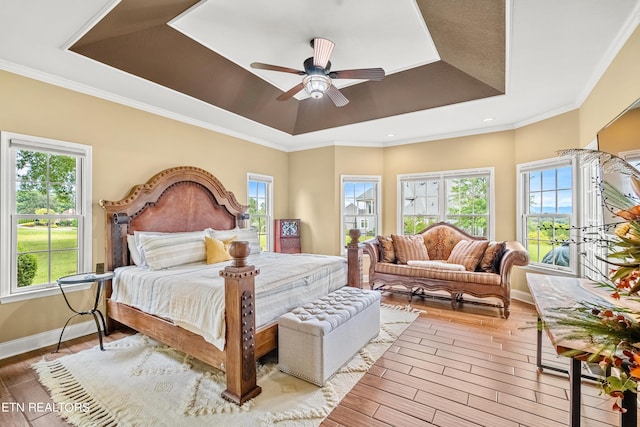 223 Osprey Cir, Vonore, TN 37885 - bedroom featuring a tray ceiling, baseboards, and light wood finished floors