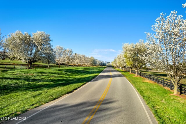 view of road with a rural view