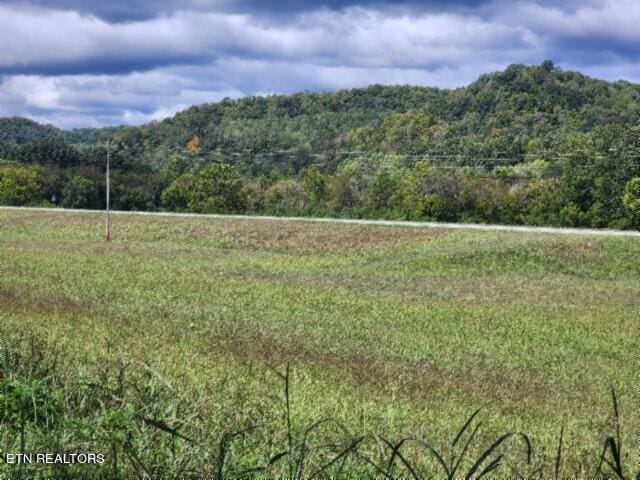 53 N Grundy Quarles Hwy, Gainesboro TN, 38562 land for sale