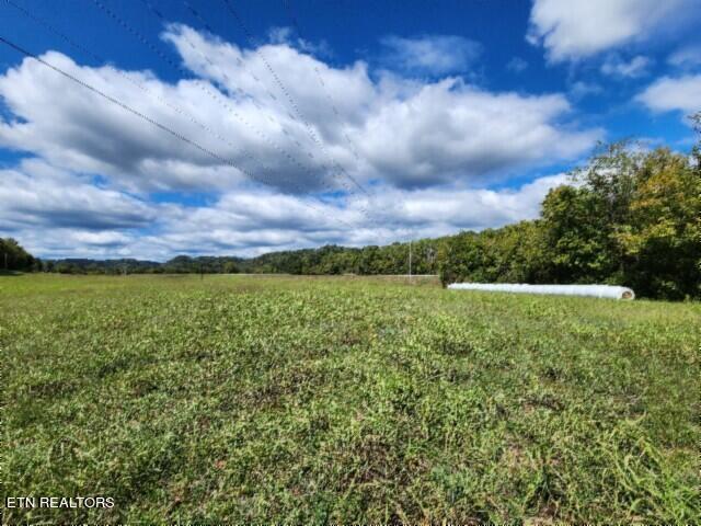 Listing photo 3 for 53 N Grundy Quarles Hwy, Gainesboro TN 38562