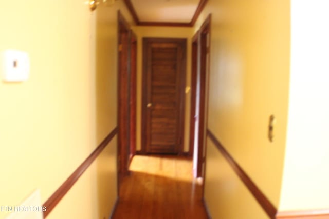 corridor featuring dark wood finished floors