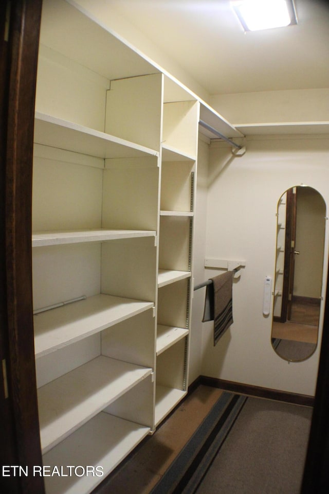 view of spacious closet