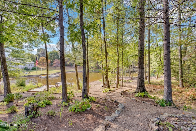 view of yard featuring a water view