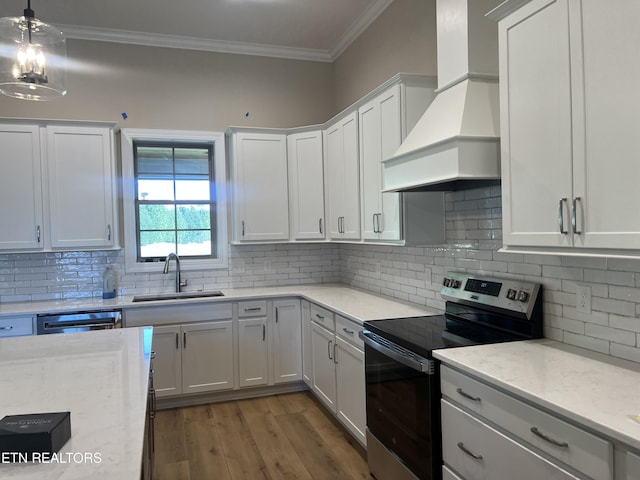 kitchen featuring white cabinets, custom exhaust hood, sink, and stainless steel appliances