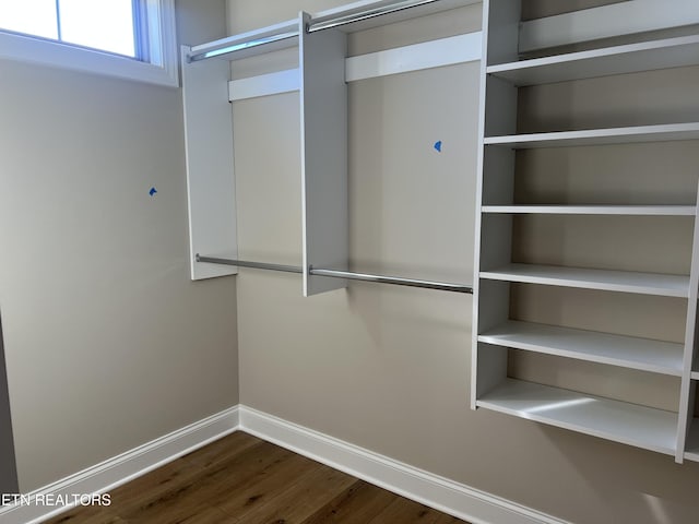 walk in closet featuring dark hardwood / wood-style flooring