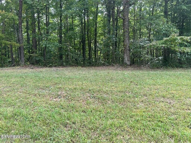 Listing photo 3 for Falls Rd, Monterey TN 38574