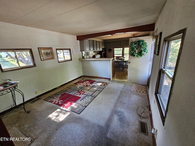 interior space with carpet floors