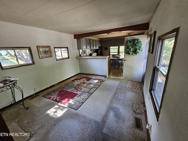 600 W 7th Ave, Lenoir City, TN 37771 - interior space with baseboards, visible vents, and carpet floors