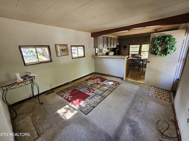 600 W 7th Ave, Lenoir City, TN 37771 - unfurnished living room featuring carpet flooring and baseboards