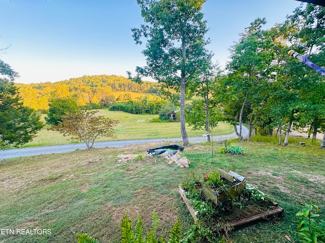 view of yard featuring a rural view