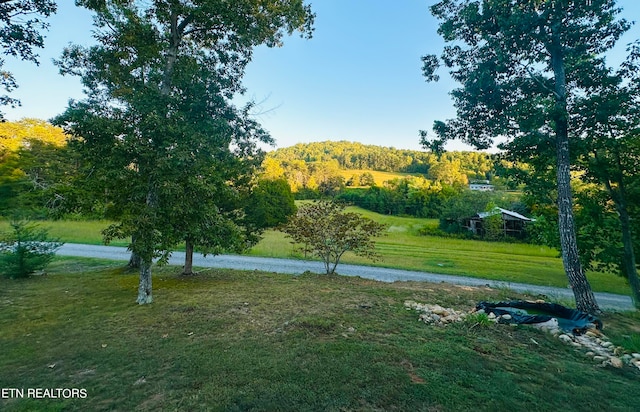 view of community with a lawn