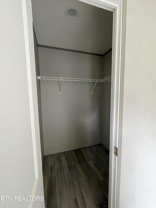 spacious closet with hardwood / wood-style flooring