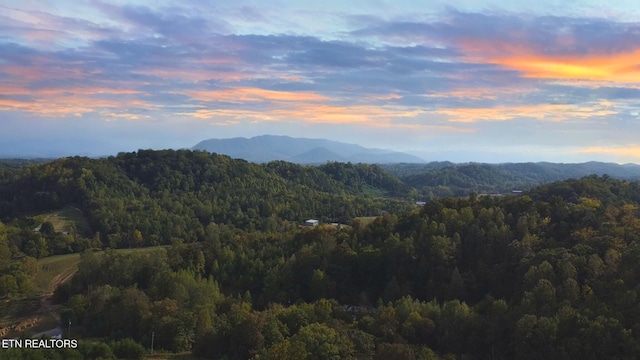 property view of mountains