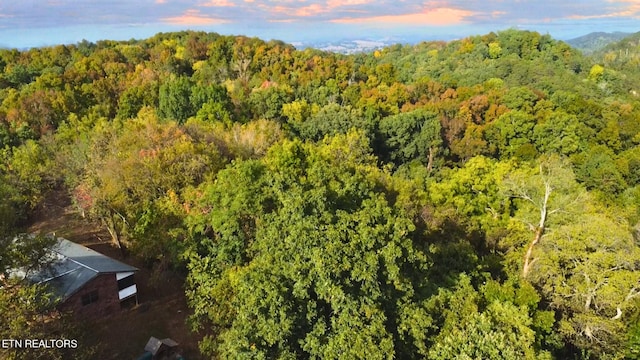 view of aerial view at dusk