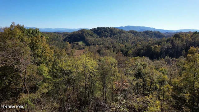 1040 Loop Rd, Sevierville, TN 37876 - view of mountain backdrop featuring a heavily wooded area