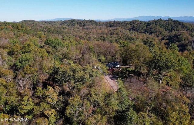 birds eye view of property featuring a mountain view