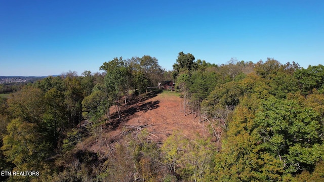 view of local wilderness