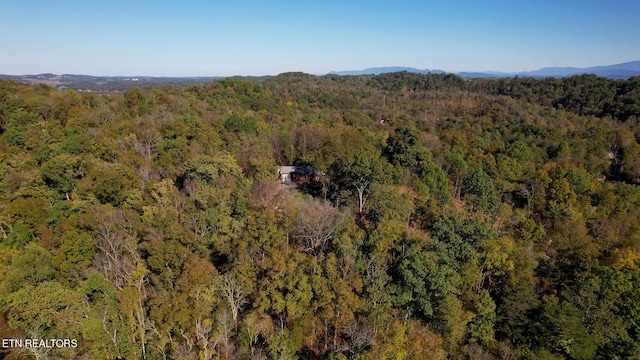 aerial view featuring a mountain view