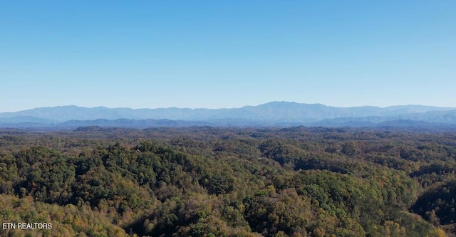 view of mountain feature