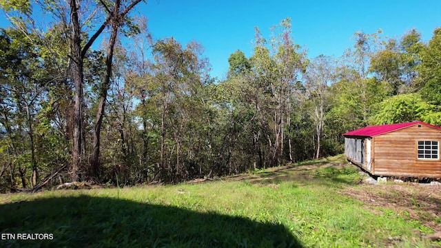 view of yard featuring a shed