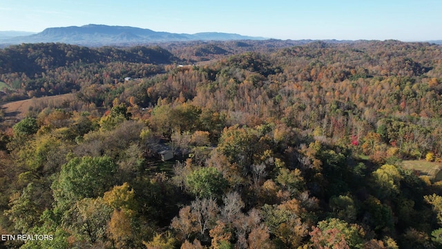 view of mountain feature