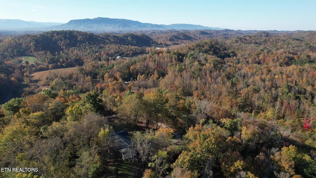 property view of mountains