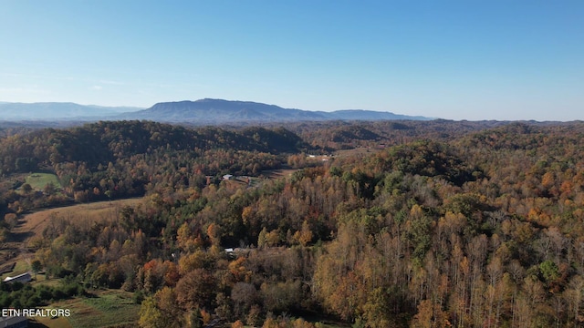 property view of mountains