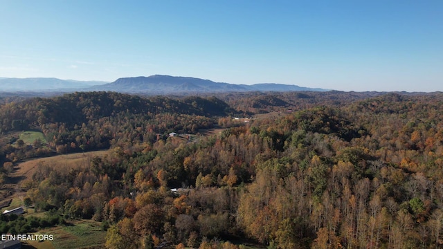 1040 Loop Rd, Sevierville, TN 37876 - view of mountain backdrop with a heavily wooded area