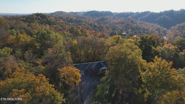 aerial view