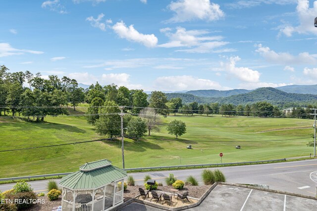 503 Dollywood Ln Unit 132, Pigeon Forge, TN 37863 - photo 4