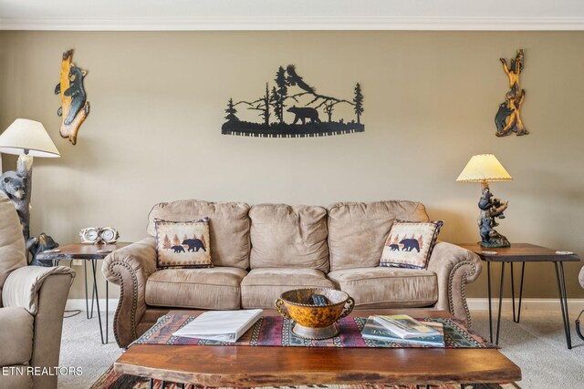 503 Dollywood Ln Unit 132, Pigeon Forge, TN 37863 - photo 21
